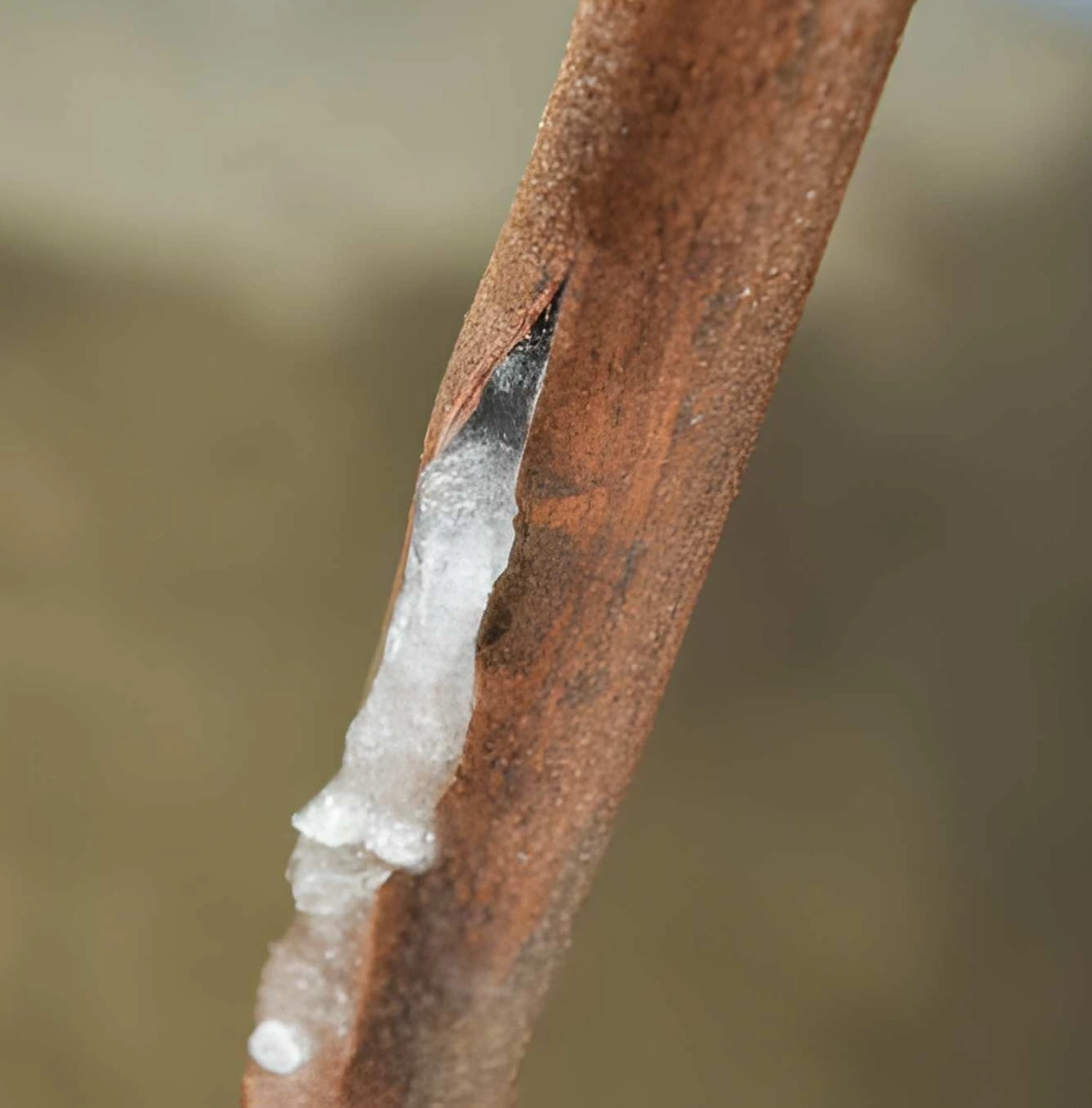 rusted metal pipe with visible crack and internal mineral buildup indicating corrosion-related leak risk