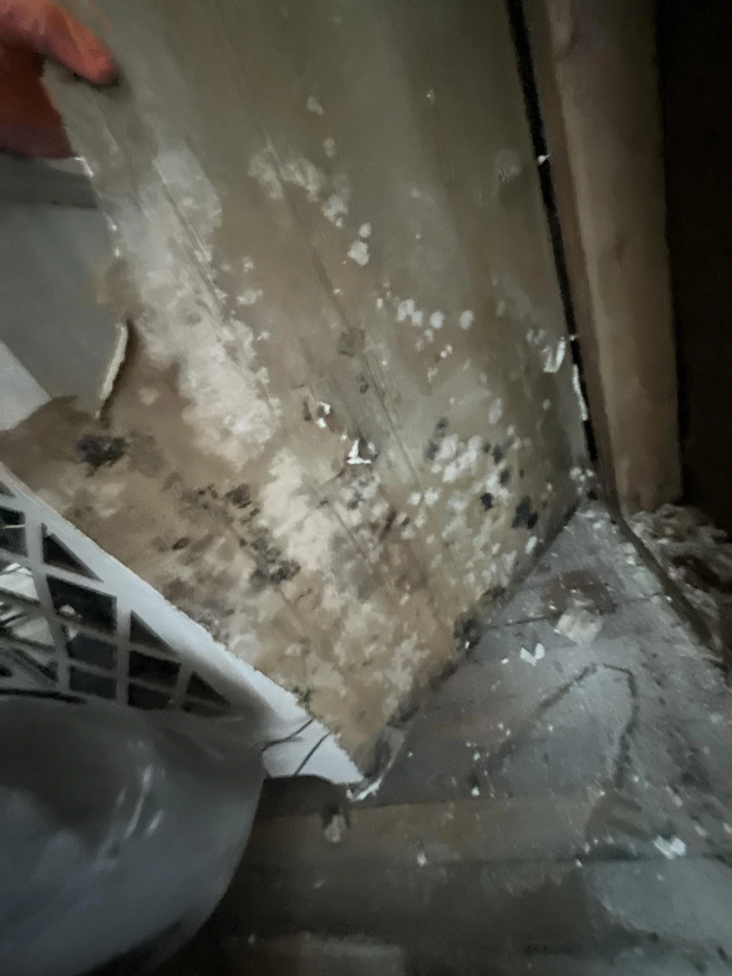 Severe black mold growth on drywall behind a appliance, with water-damaged peeling surfaces and visible mold colonies requiring professional remediation