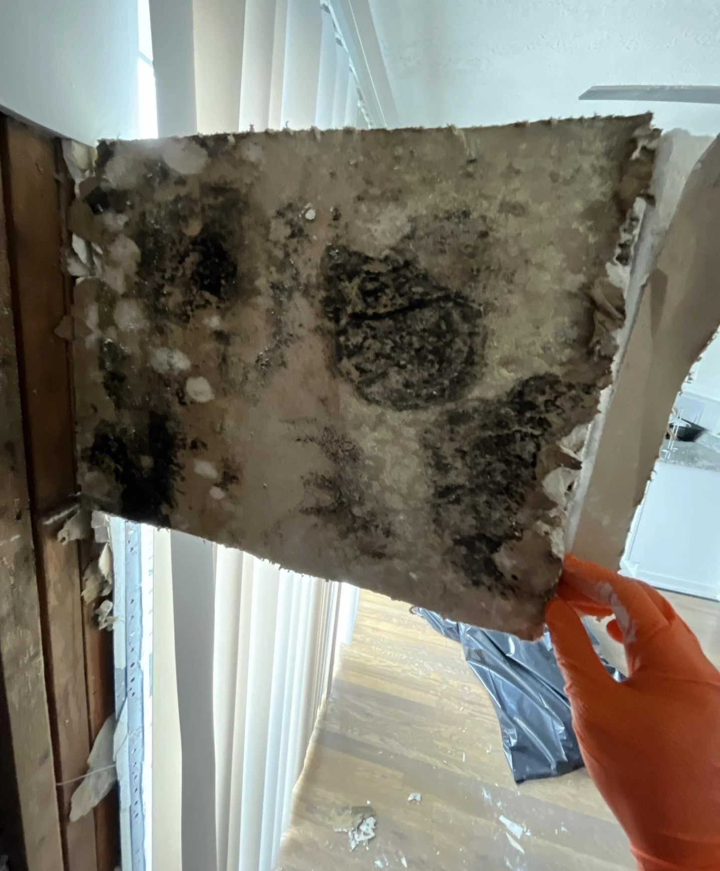 mold contaminated drywall removed during water damage remediation and cleanup