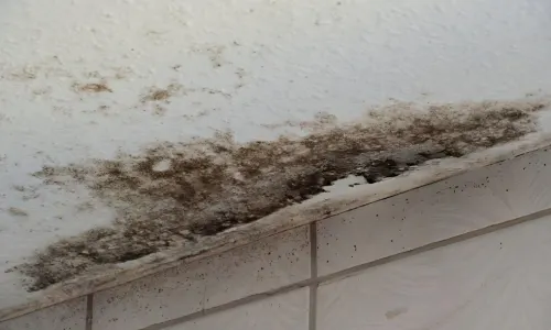 mold growth on ceiling and wall from moisture and water damage