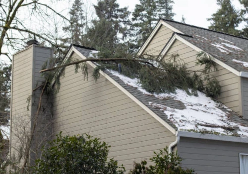 Large fallen tree branch resting across a snow-covered residential roof after a winter storm, showing structural damage risk requiring emergency storm damage restoration