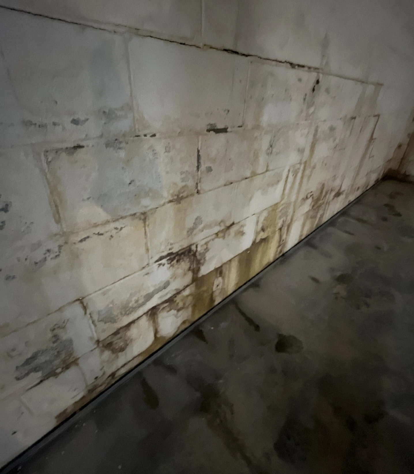 basement wall water intrusion with visible seepage stains and moisture along concrete block foundation floor