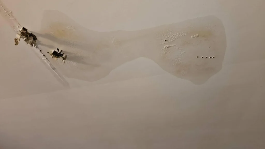Close-up of severely water-damaged ceiling showing large bulging blister with yellow-brown staining and torn drywall with black mold growth at seam