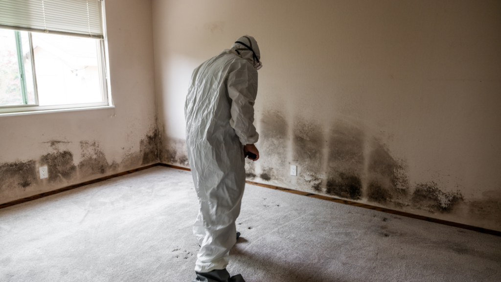 A person in a hazmat suit inspects a room with extensive black mold on the walls. The scene conveys a sense of caution and serious health concern.