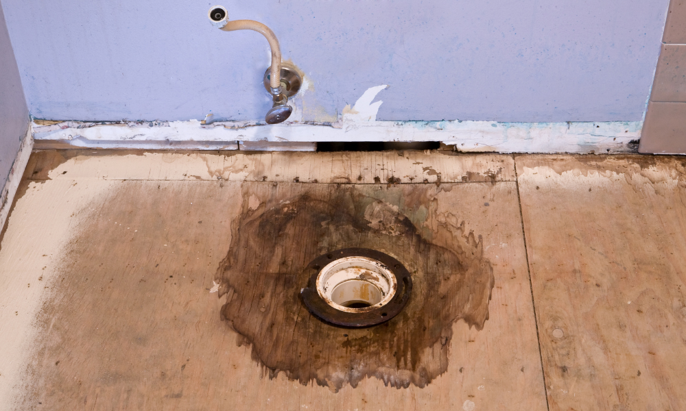 sewage backup cleanup cost