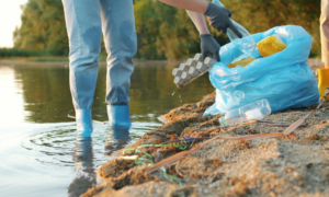 emergency water cleanup cost