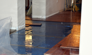 water damage repair costs.