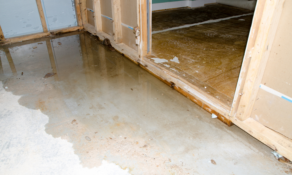 basement flood repair cost