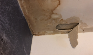 roof leak water damage cost