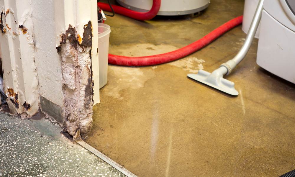 basement water damage repair cost