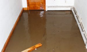 emergency water damage cost Carrollton TX