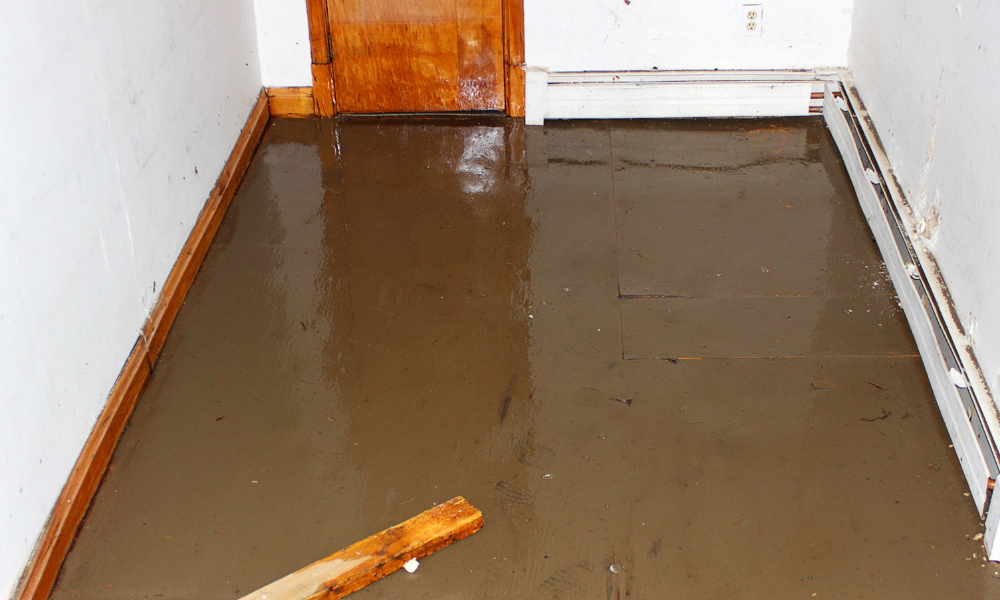 emergency water damage cost Carrollton TX