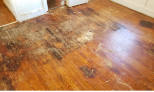 hardwood floor water damage cost