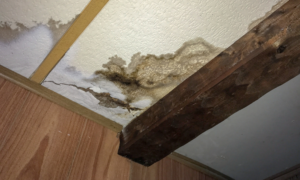 water damage repair cost Carrollton TX