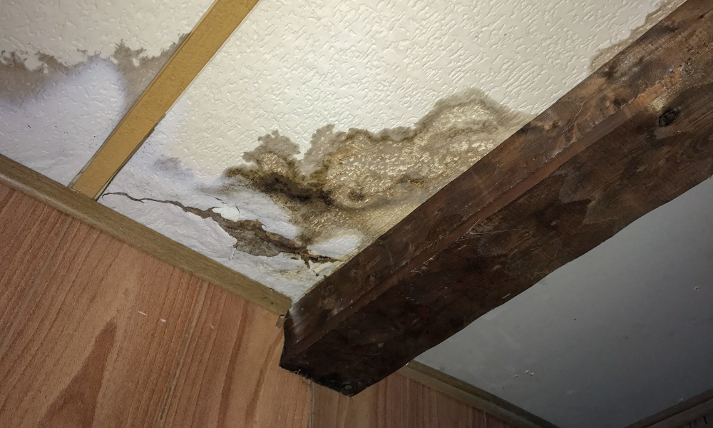 water damage repair cost Carrollton TX